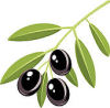group_olive2.png